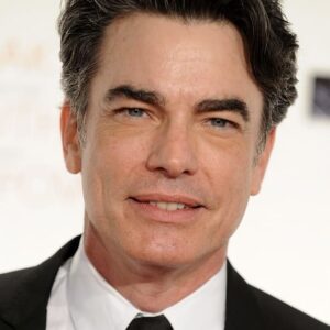 تصویر هنرمند Peter Gallagher