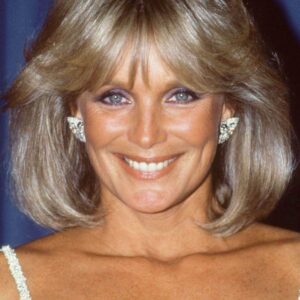 تصویر هنرمند Linda Evans