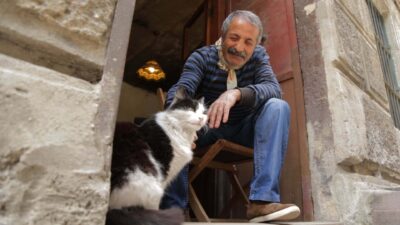 Teaser for Kedi