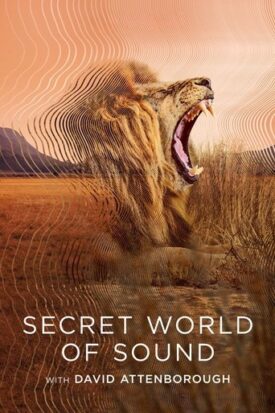 پوستر رسمی سریال Secret World of Sound (2024)